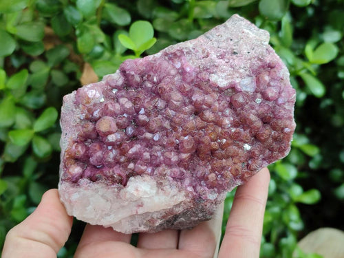 Natural Cabinet Size Spherocobaltite Specimens x 2 From Musonoi Mine, Congo