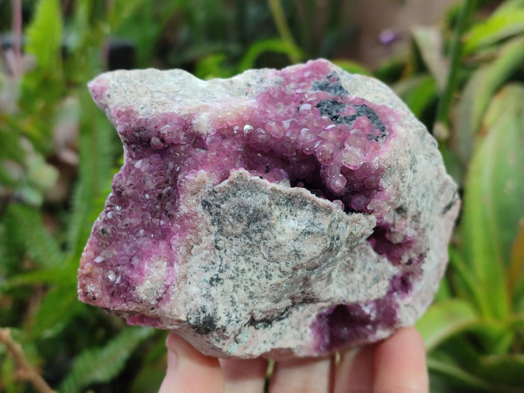 Natural Cabinet Size Spherocobaltite Specimens x 2 From Musonoi Mine, Congo