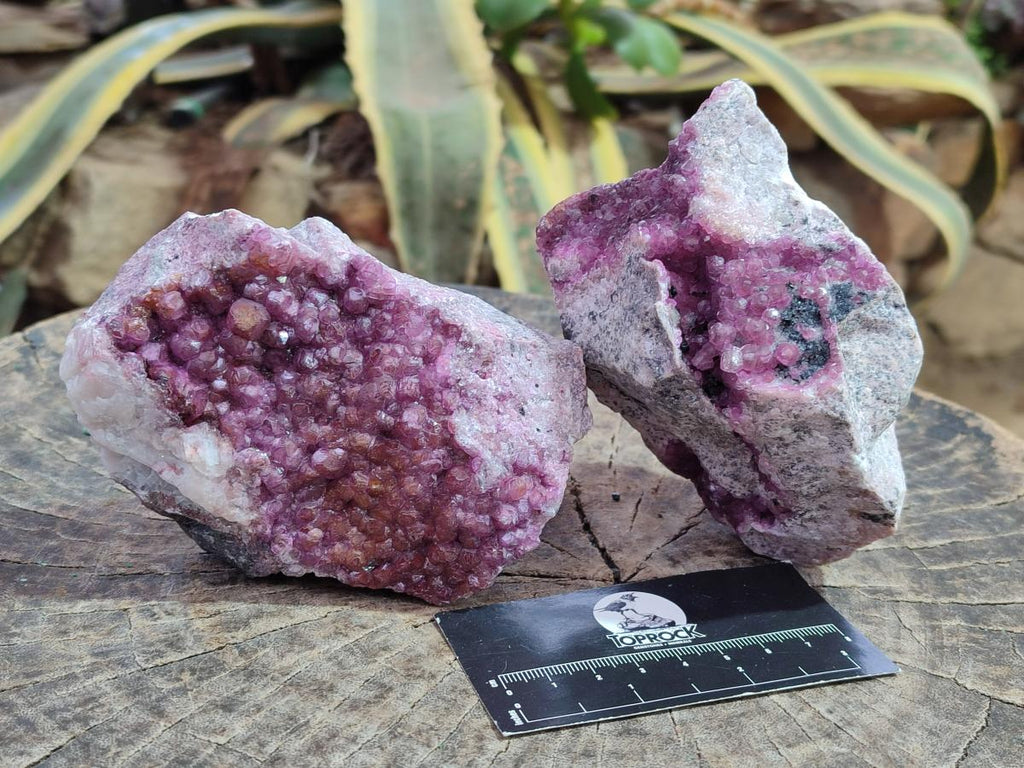 Natural Cabinet Size Spherocobaltite Specimens x 2 From Musonoi Mine, Congo