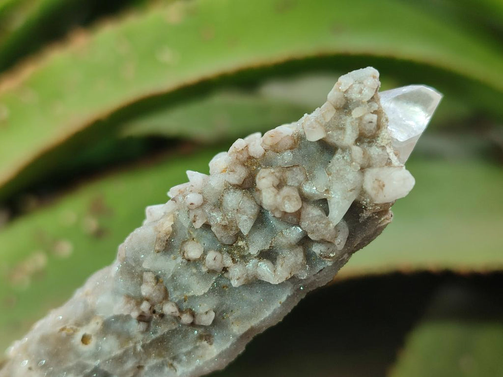 Natural Spearhead Calcite Crystal Specimens x 12 From Albert's Mountain, Lesotho
