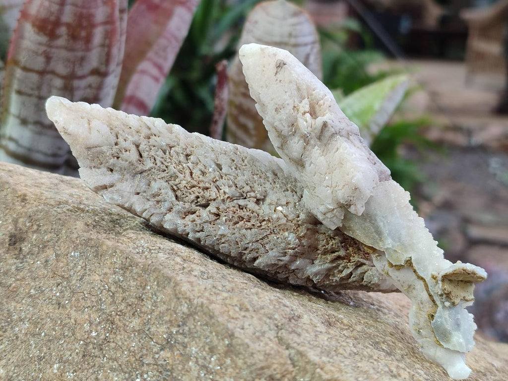 Natural Spearhead Calcite Crystal Specimens x 12 From Albert's Mountain, Lesotho