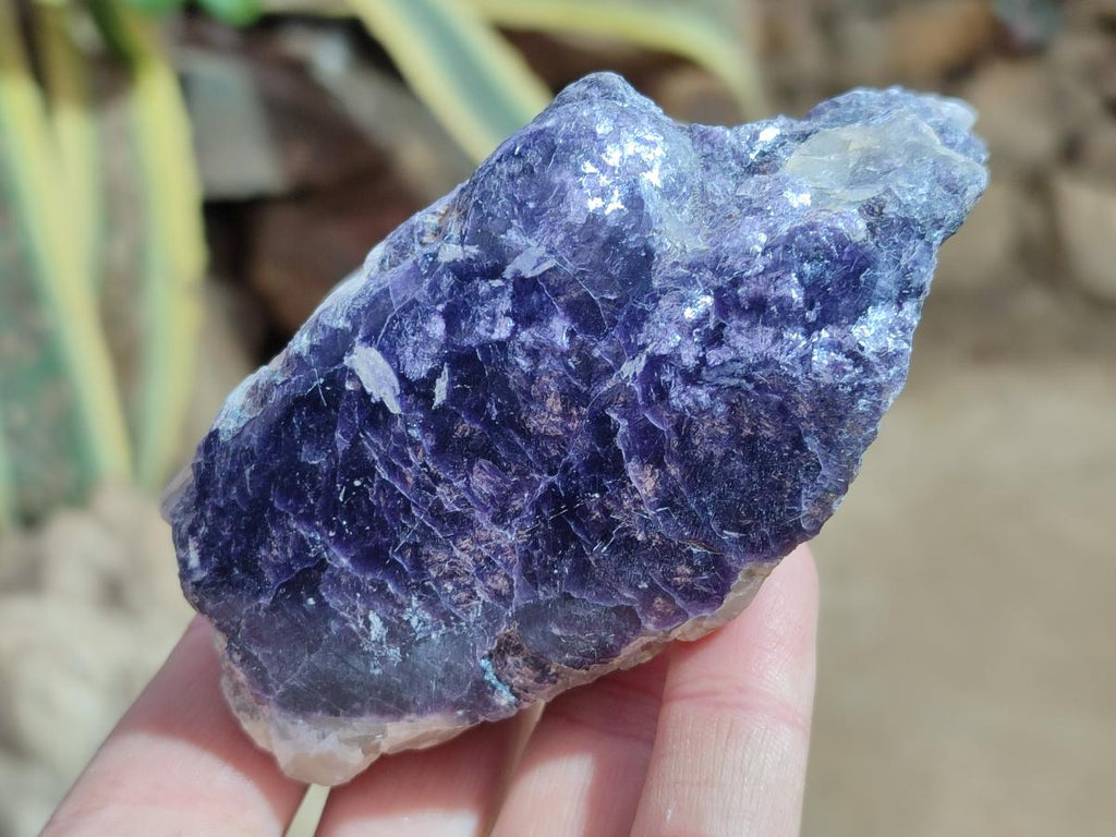 Polished One Side Lithium Silver Leaf Lepidolite Specimens x 6 From Zimbabwe