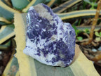 Polished One Side Lithium Silver Leaf Lepidolite Specimens x 6 From Zimbabwe