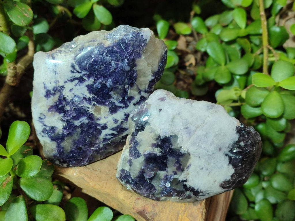 Polished One Side Lithium Silver Leaf Lepidolite Specimens x 6 From Zimbabwe