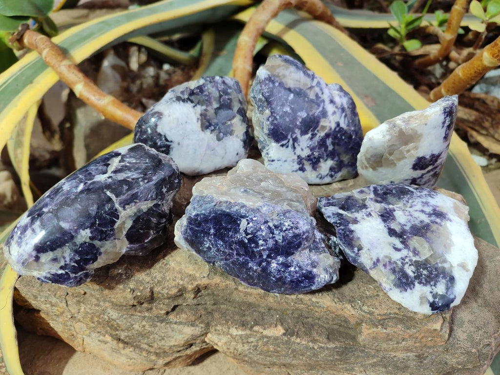 Polished One Side Lithium Silver Leaf Lepidolite Specimens x 6 From Zimbabwe