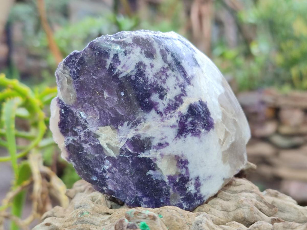Polished One Side Lithium Silver Leaf Lepidolite Specimens x 6 From Zimbabwe