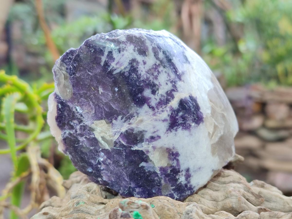 Polished One Side Lithium Silver Leaf Lepidolite Specimens x 6 From Zimbabwe