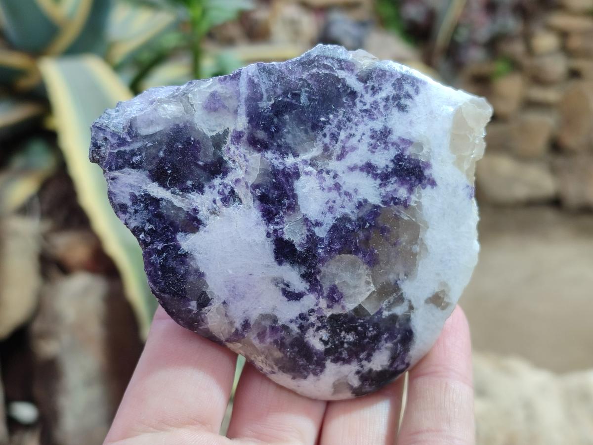 Polished One Side Lithium Silver Leaf Lepidolite Specimens x 6 From Zimbabwe