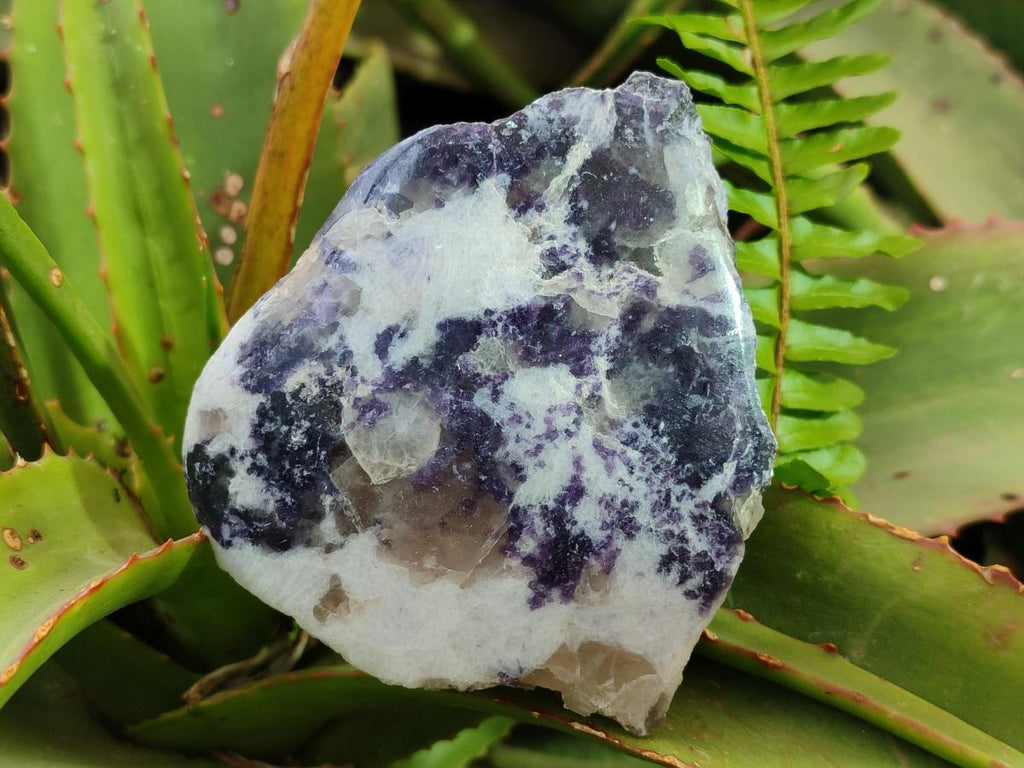Polished One Side Lithium Silver Leaf Lepidolite Specimens x 6 From Zimbabwe