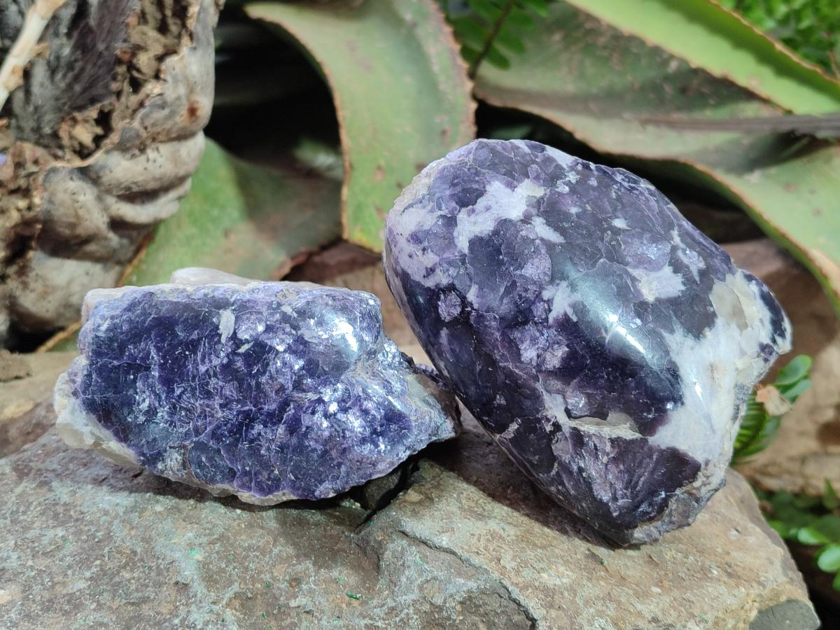 Polished One Side Lithium Silver Leaf Lepidolite Specimens x 6 From Zimbabwe