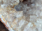 Natural XL Agate Amethyst Geode x 1 From Maintirano, Madagascar - Toprock Gemstones and Minerals 
