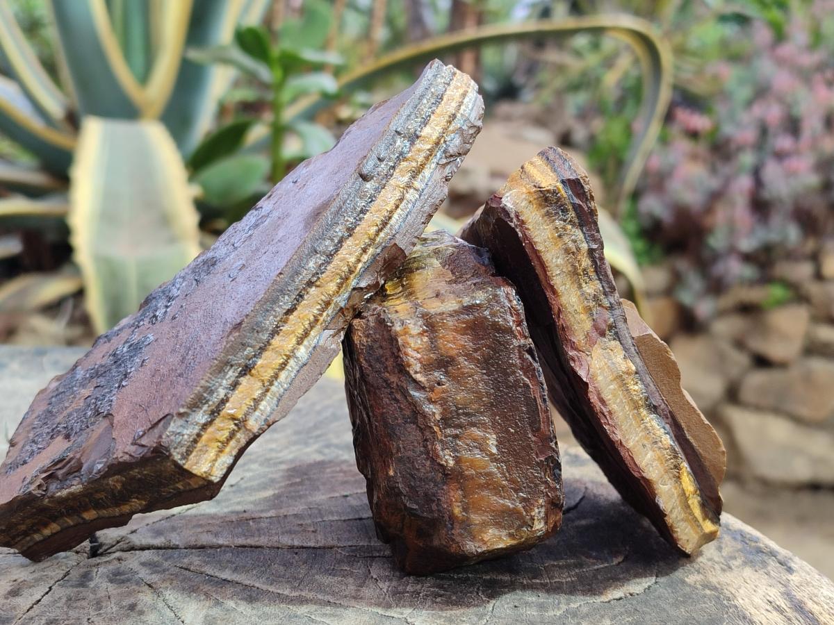 Natural Golden Tigers Eye Cobbed Specimens x 12 From Prieska, South Africa