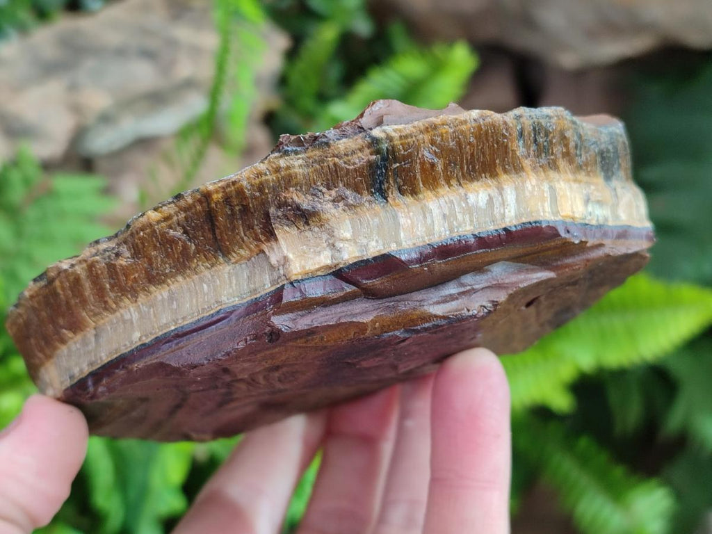 Natural Golden Tigers Eye Cobbed Specimens x 12 From Prieska, South Africa