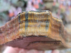 Natural Golden Tigers Eye Cobbed Specimens x 12 From Prieska, South Africa