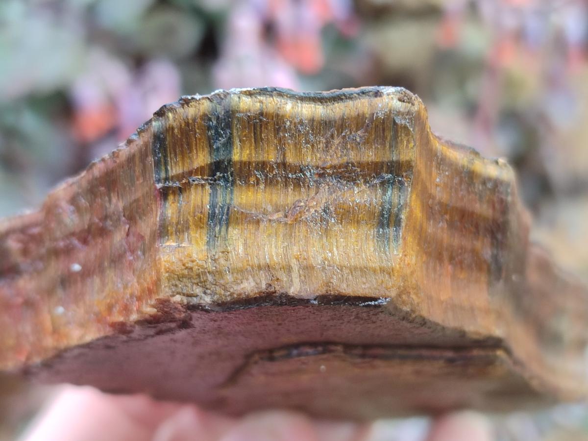 Natural Golden Tigers Eye Cobbed Specimens x 12 From Prieska, South Africa