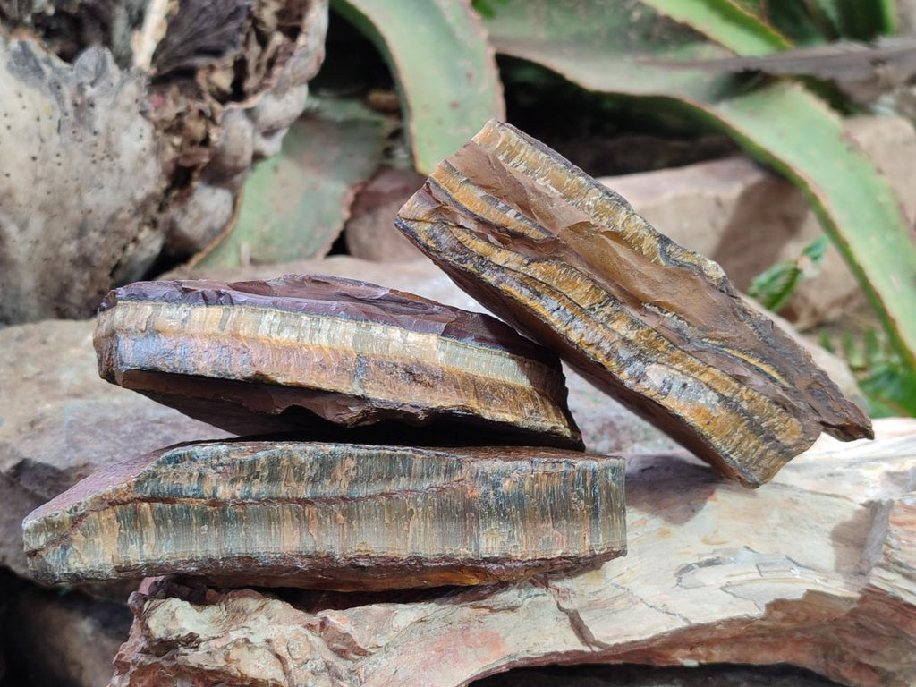Natural Golden Tigers Eye Cobbed Specimens x 12 From Prieska, South Africa