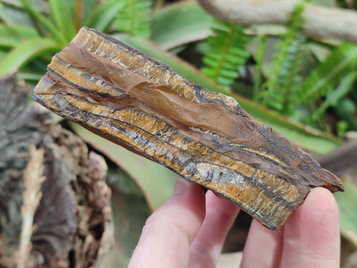 Natural Golden Tigers Eye Cobbed Specimens x 12 From Prieska, South Africa