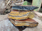 Natural Golden Tigers Eye Cobbed Specimens x 12 From Prieska, South Africa