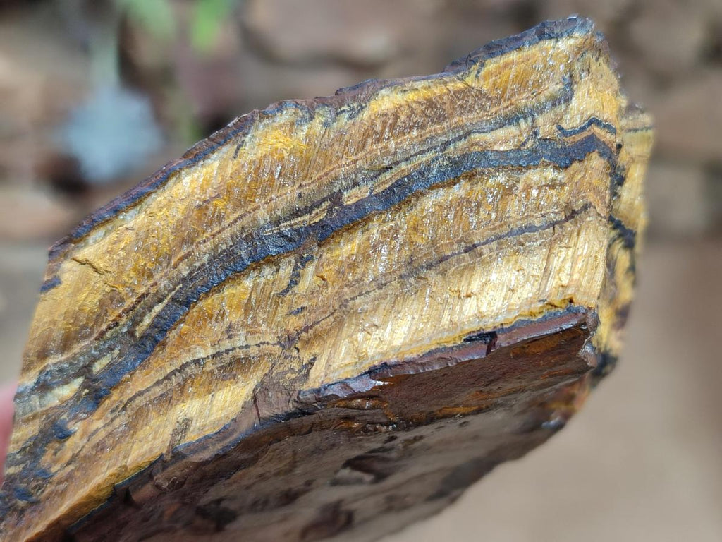 Natural Golden Tigers Eye Cobbed Specimens x 12 From Prieska, South Africa