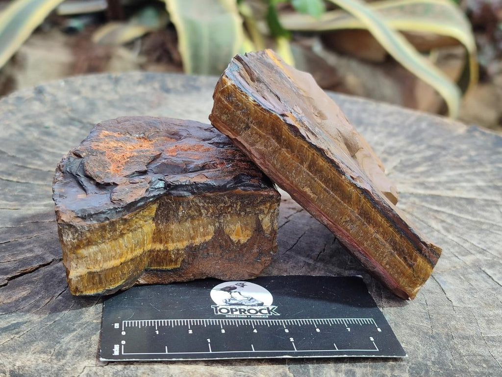 Natural Golden Tigers Eye Cobbed Specimens x 12 From Prieska, South Africa