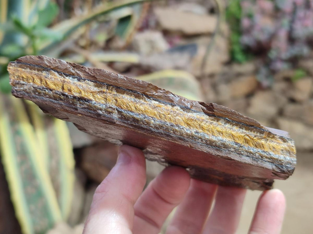 Natural Golden Tigers Eye Cobbed Specimens x 12 From Prieska, South Africa