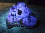 Natural Mix of Fluorite Specimens x 26 From Namibia - Toprock Gemstones and Minerals 