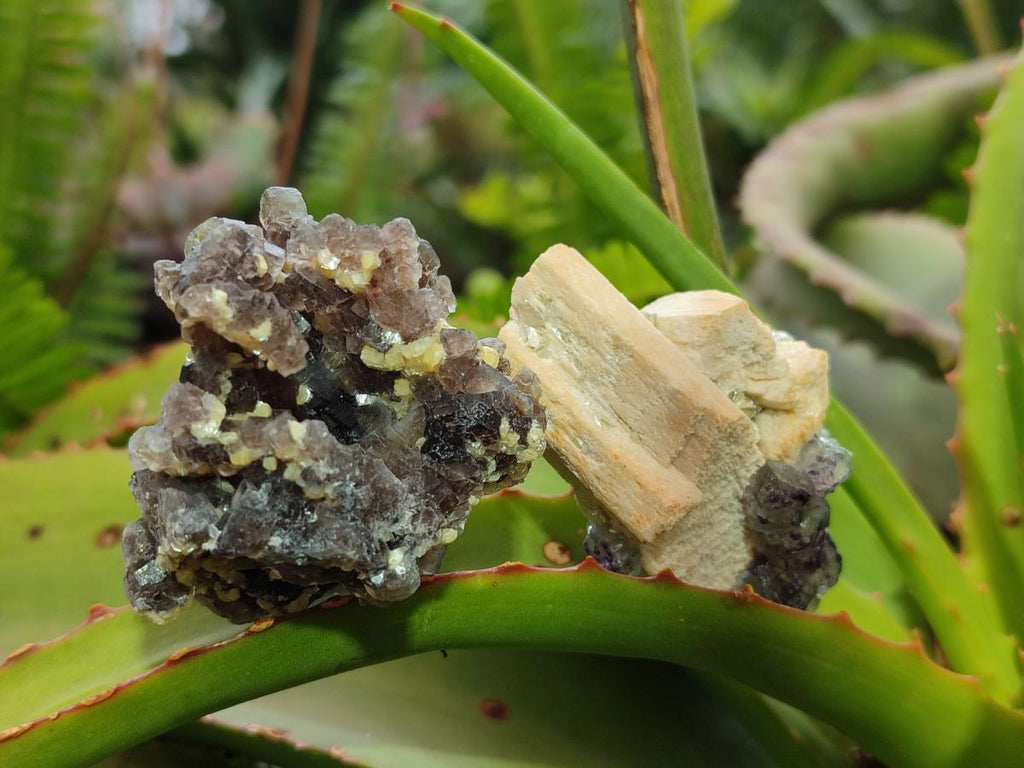 Natural Mix of Fluorite Specimens x 26 From Namibia - Toprock Gemstones and Minerals 