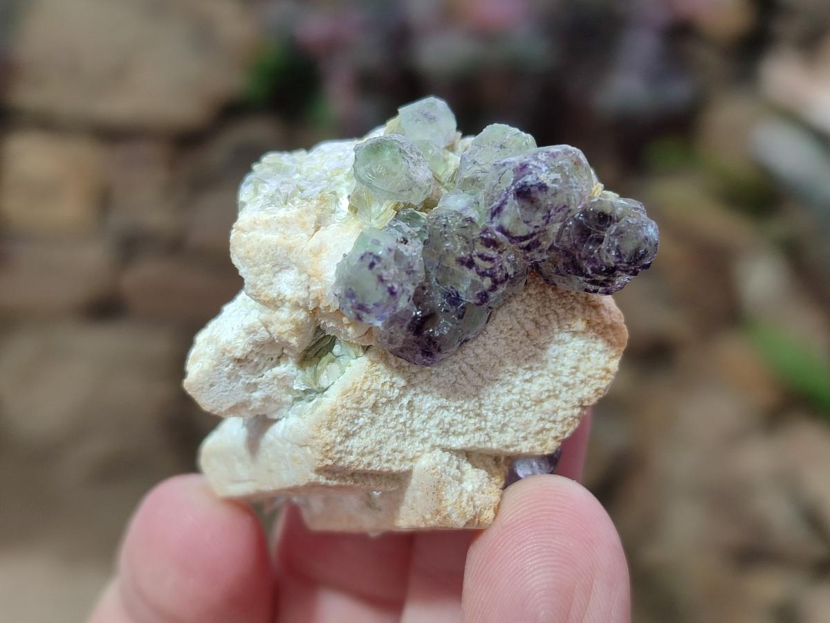 Natural Mix of Fluorite Specimens x 26 From Namibia - Toprock Gemstones and Minerals 