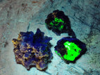 Natural Mix of Fluorite Specimens x 26 From Namibia - Toprock Gemstones and Minerals 