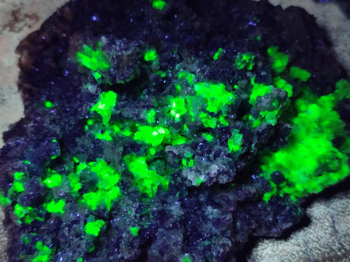 Natural Mix of Fluorite Specimens x 26 From Namibia - Toprock Gemstones and Minerals 