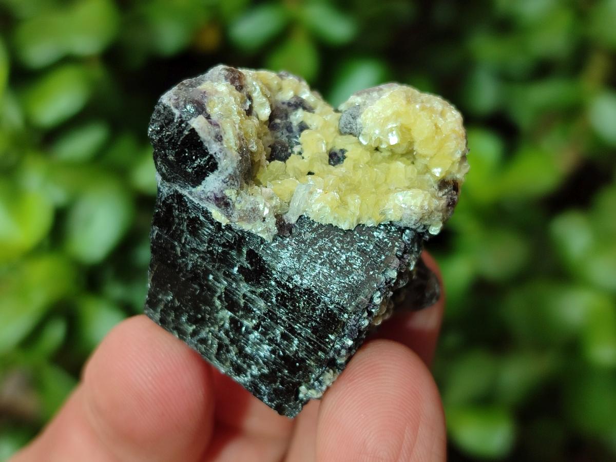 Natural Mix of Fluorite Specimens x 26 From Namibia - Toprock Gemstones and Minerals 