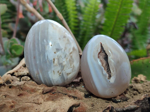Polished Shashe River Agate Eggs x 12 From Shashe River, Zimbabwe - Toprock Gemstones and Minerals 