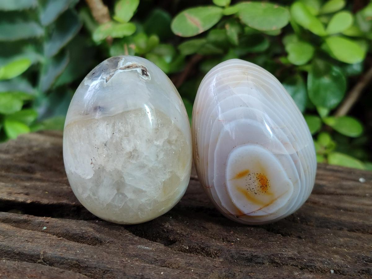 Polished Shashe River Agate Eggs x 12 From Shashe River, Zimbabwe - Toprock Gemstones and Minerals 