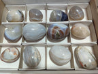 Polished Shashe River Agate Eggs x 12 From Shashe River, Zimbabwe - Toprock Gemstones and Minerals 