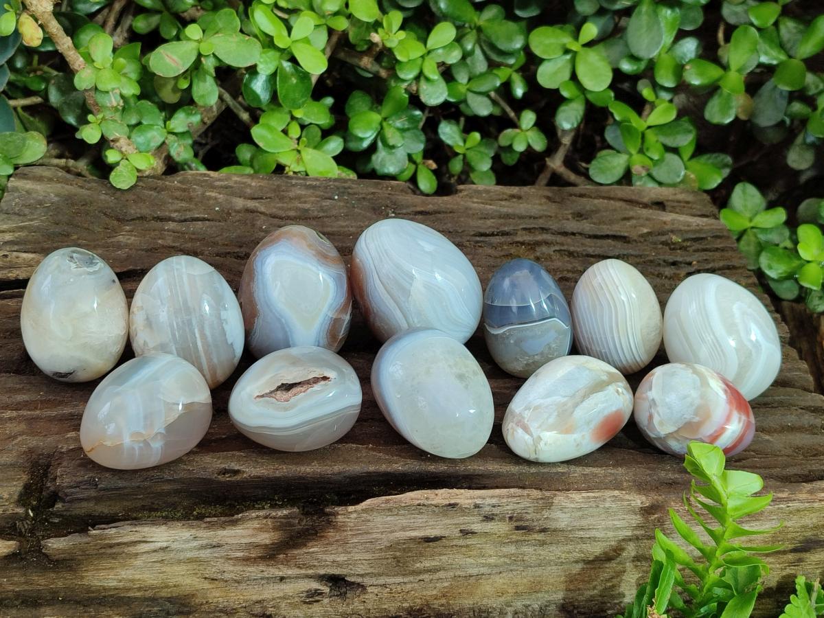 Polished Shashe River Agate Eggs x 12 From Shashe River, Zimbabwe - Toprock Gemstones and Minerals 