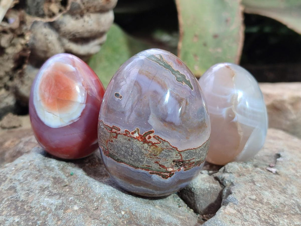 Polished Shashe River Agate Eggs x 12 From Shashe River, Zimbabwe - Toprock Gemstones and Minerals 