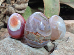 Polished Shashe River Agate Eggs x 12 From Shashe River, Zimbabwe - Toprock Gemstones and Minerals 