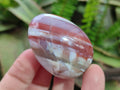 Polished Shashe River Agate Eggs x 12 From Shashe River, Zimbabwe - Toprock Gemstones and Minerals 