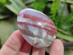 Polished Shashe River Agate Eggs x 12 From Shashe River, Zimbabwe - Toprock Gemstones and Minerals 