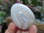 Polished Shashe River Agate Eggs x 12 From Shashe River, Zimbabwe - Toprock Gemstones and Minerals 