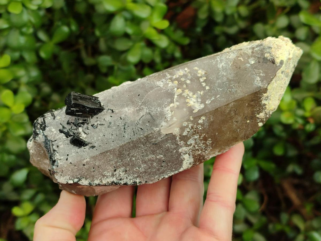 Natural Large Smokey Quartz Crystals with Black Tourmaline and Hyalite Opal x 3 From Erongo, Namibia - Toprock Gemstones and Minerals 
