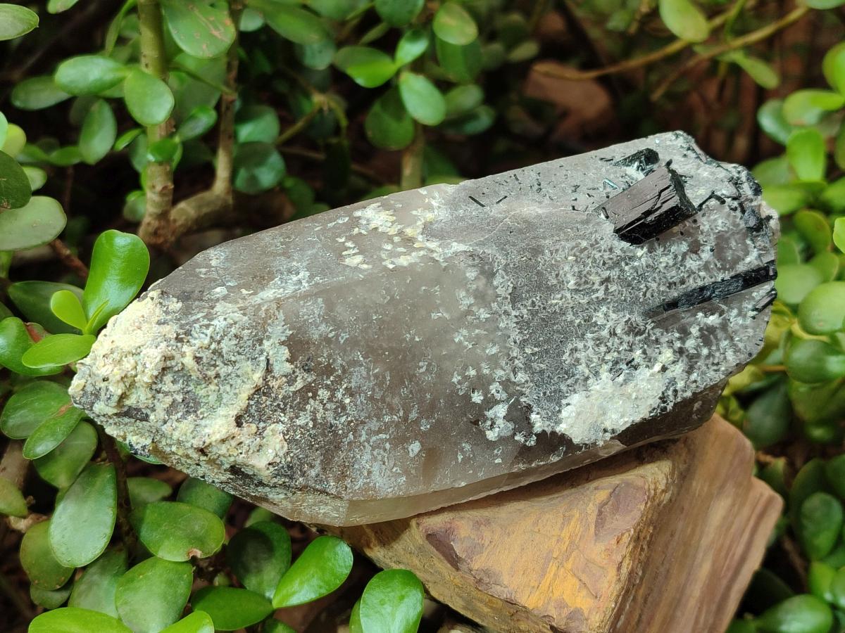 Natural Large Smokey Quartz Crystals with Black Tourmaline and Hyalite Opal x 3 From Erongo, Namibia - Toprock Gemstones and Minerals 