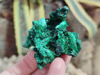 Natural Silky Malachite Specimens x 12 From Kasompe, Congo - Toprock Gemstones and Minerals 