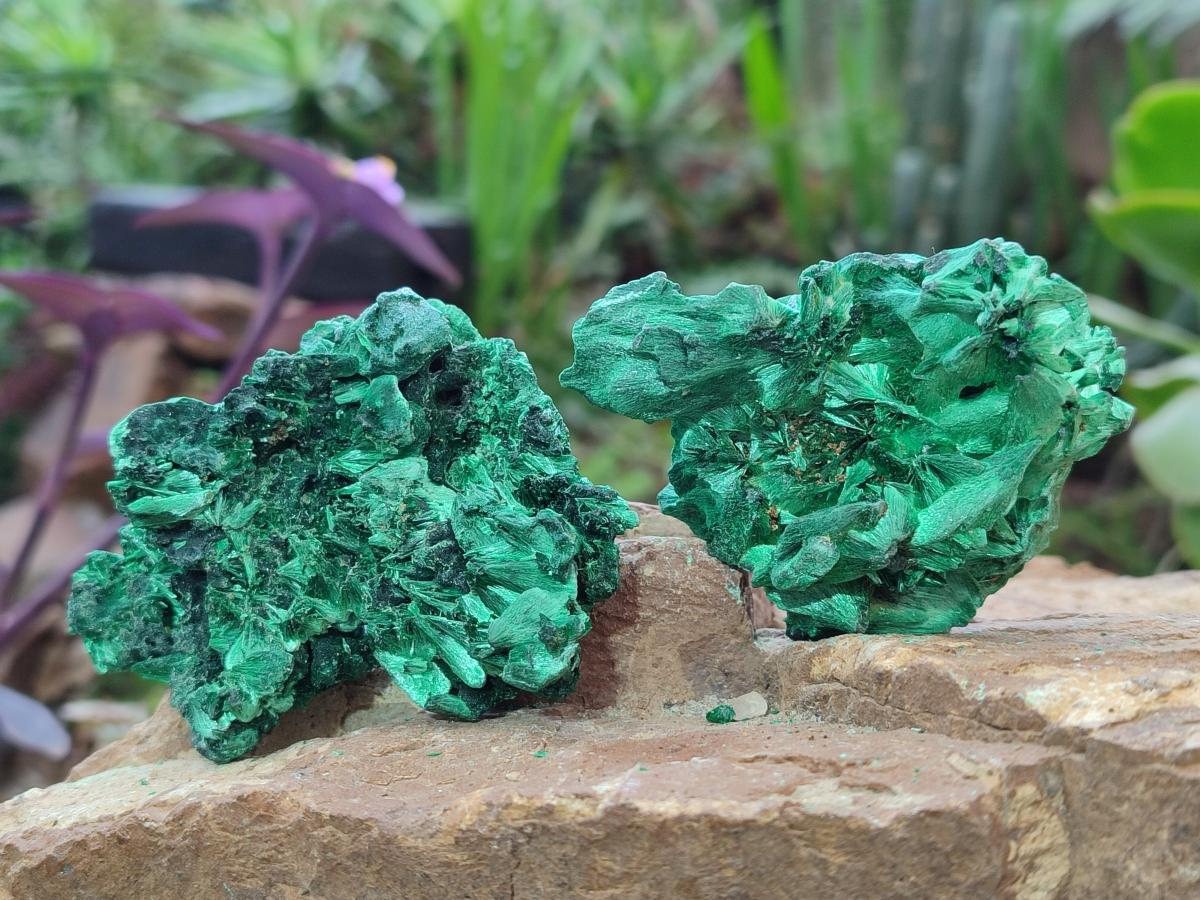Natural Silky Malachite Specimens x 12 From Kasompe, Congo - Toprock Gemstones and Minerals 