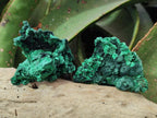 Natural Silky Malachite Specimens x 12 From Kasompe, Congo - Toprock Gemstones and Minerals 