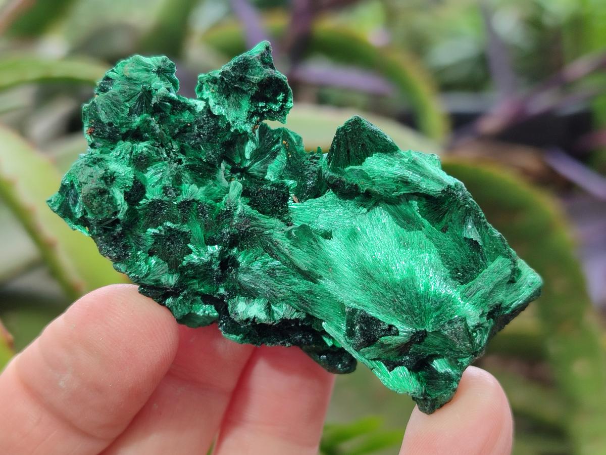Natural Silky Malachite Specimens x 12 From Kasompe, Congo - Toprock Gemstones and Minerals 