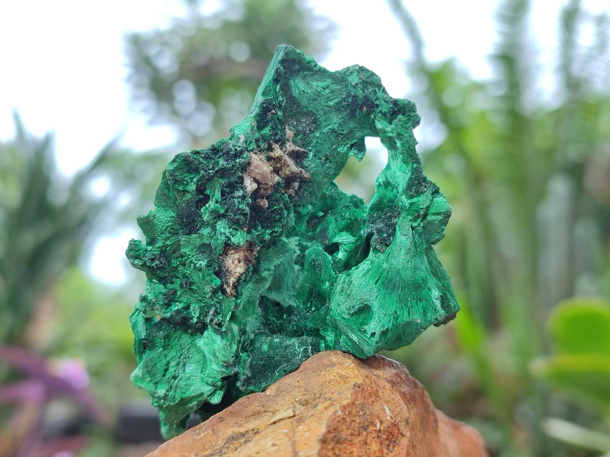 Natural Silky Malachite Specimens x 12 From Kasompe, Congo - Toprock Gemstones and Minerals 