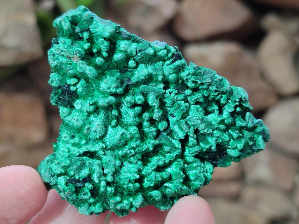Natural Silky Malachite Specimens x 12 From Kasompe, Congo - Toprock Gemstones and Minerals 