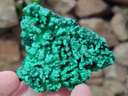 Natural Silky Malachite Specimens x 12 From Kasompe, Congo - Toprock Gemstones and Minerals 