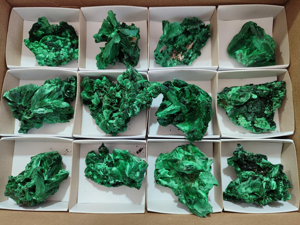 Natural Silky Malachite Specimens x 12 From Kasompe, Congo - Toprock Gemstones and Minerals 
